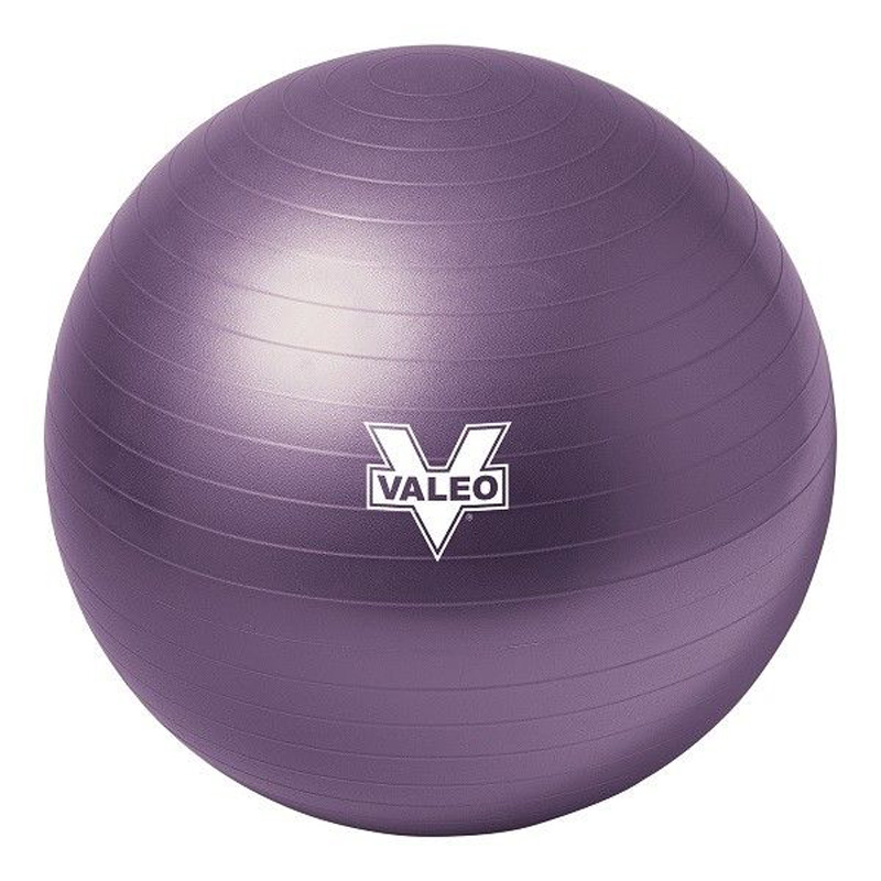 top rated products in exercise \u0026 fitness accessoriesvaleo anti burst 55cm exercise body ball includes high volume 2 way action air